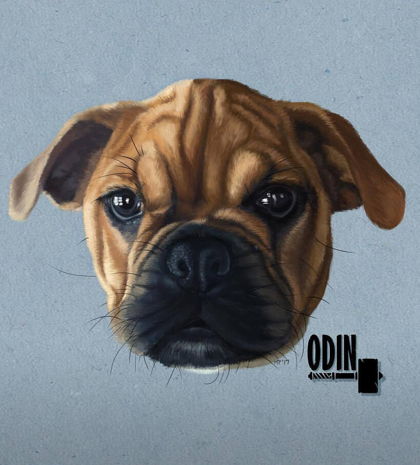 Odin